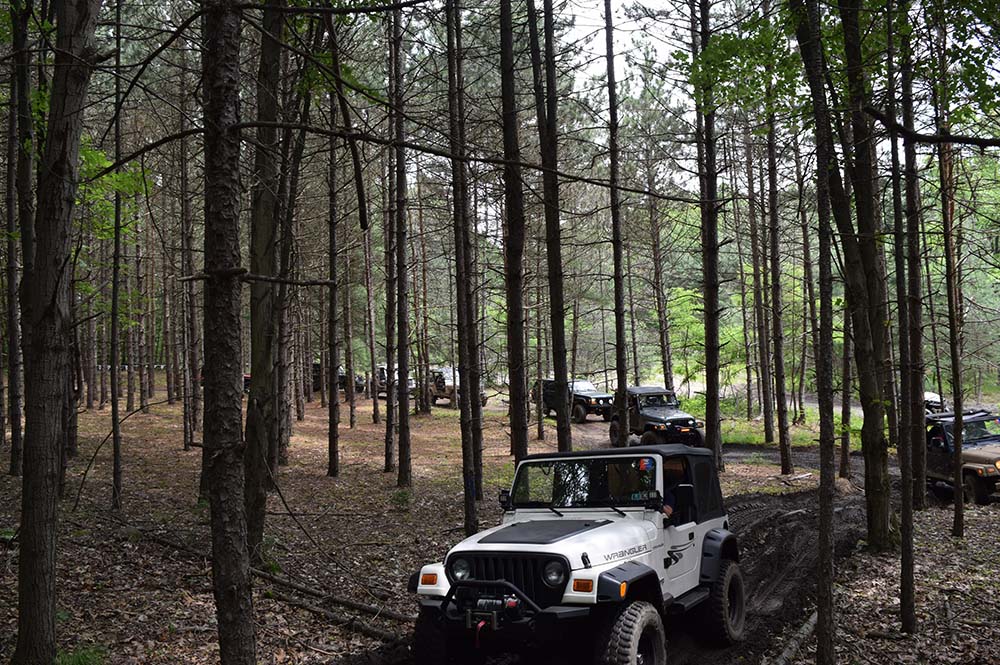Jeeps on woods trail at Cooper's Lake